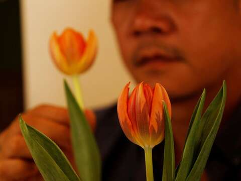 設計師蕭青陽觀察花朵生長 發覺鬱金香外型酷似杯形