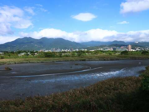 社子島濕地看大屯火山群