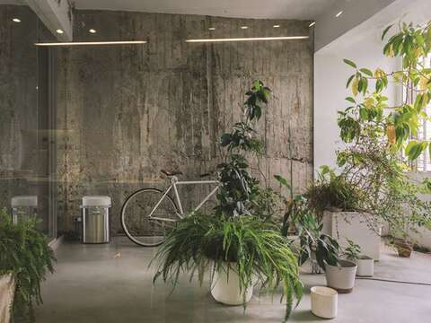 Plants and trees serve as inspiration for Nieh when it comes to his design work.