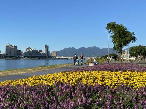 Biển hoa tuyệt đẹp ở Công viên Bờ hồ Duyên Bình (Yanping) thành phố Đài Bắc