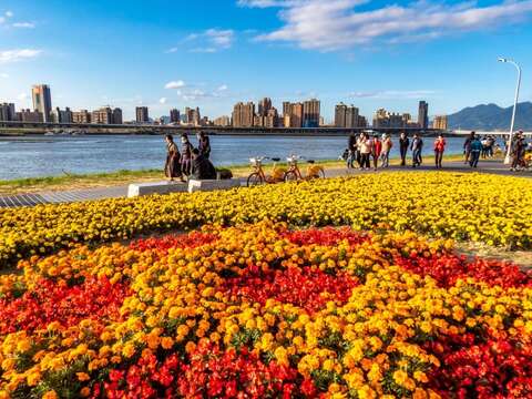 延平河濱公園大稻埕碼頭附近，7萬多盆草花已盛開