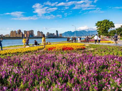 延平河濱公園花海完工至今，已經吸引許多遊客前來打卡拍照。