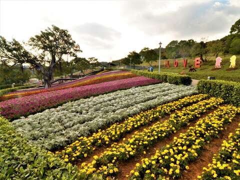 Flowers Bloom at Beitou Shan Tseng-chi Park