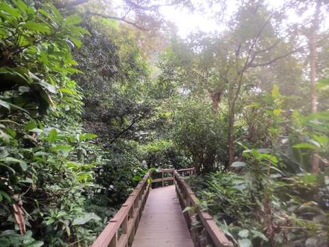 富阳自然生态公园园区高架步道