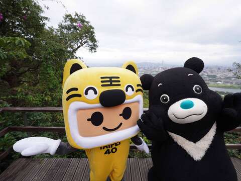祥虎與熊讚一起爬上劍潭山步道遠眺廣闊的台北市景