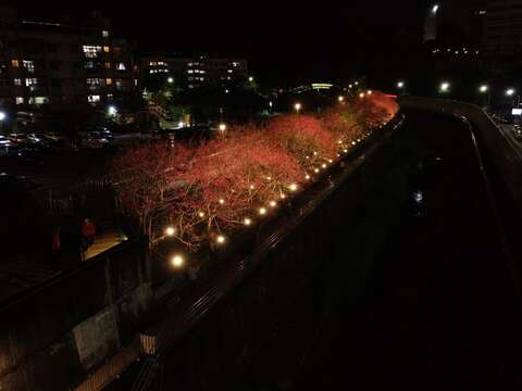 河岸旁的櫻花步道