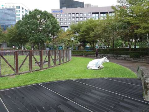 A dog activity area in Taipei City