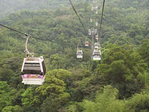 Take a ride on the Maokong Gondola to access the lavish green views as you climb ever higher.