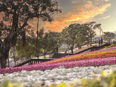 Colorful flowers blanket the fields in Ki- Pataw Shan-Tseng-Chi Park in spring. (Photo/ Parks and Street Lights Office, Public Works Department, Taipei City Government)