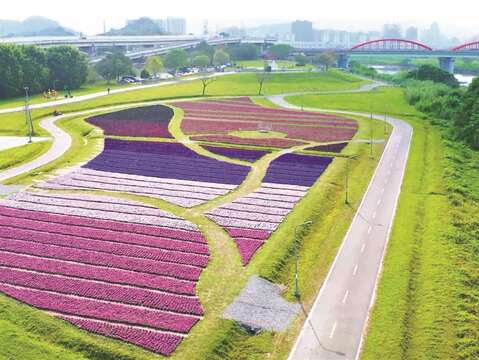 春の訪れを表すピンクと紫の色彩が台北にロマンチックな雰囲気をもたらします。