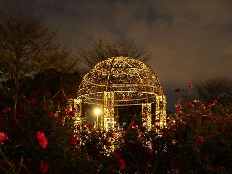 臺北玫瑰園內的光之圓頂，夜晚閃著光芒。(Daidai Chang攝影)