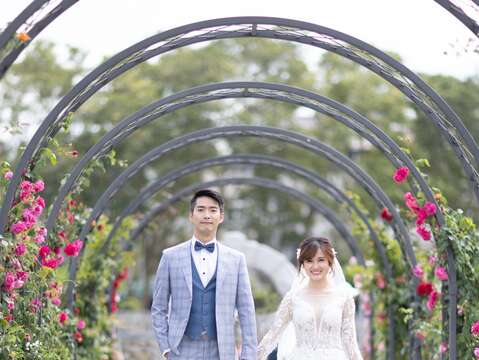 蔓玫拱門可以拍出仙氣滿滿的婚紗照。