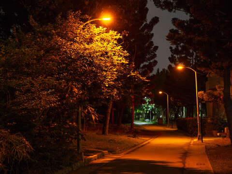 大安森林公園螢火蟲專用燈