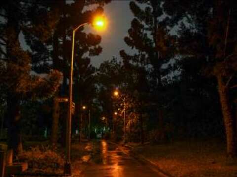 Hooded LED Streetlights Help Strengthen Firefly Conservation