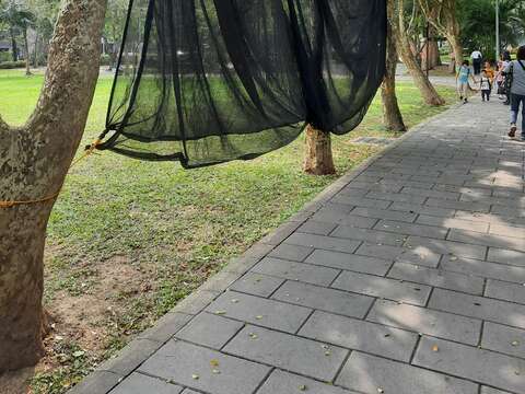 賞螢季來臨前，公園處鋪設黑網以減少光害對螢火蟲的干擾。