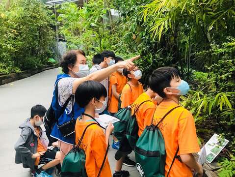 台北典藏植物园平时除了植物展示，也提供解说服务与环境教育课程(图片来源：台北市政府工务局公园路灯工程管理处)