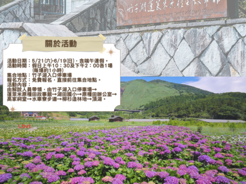 走读竹子湖-绣球花季生态人文导览