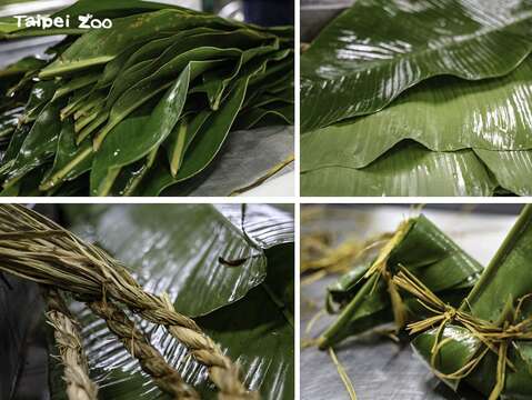 Taipei Zoo to Close June 20-30 for Summer Recess, Provide Ice Zongzi to Animals to Celebrate Dragon Boat Festival