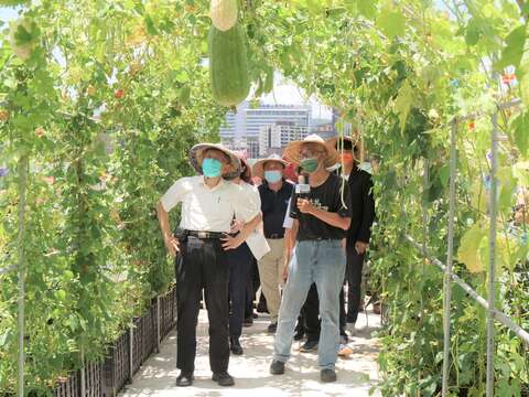 Training for Rooftop Gardeners at TPL Donghu Branch