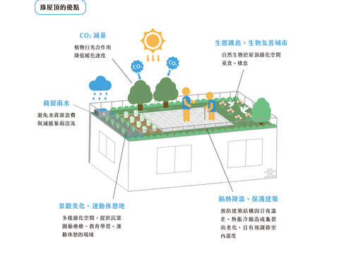 作伙打造城市綠屋頂(台北畫刊111年7月)