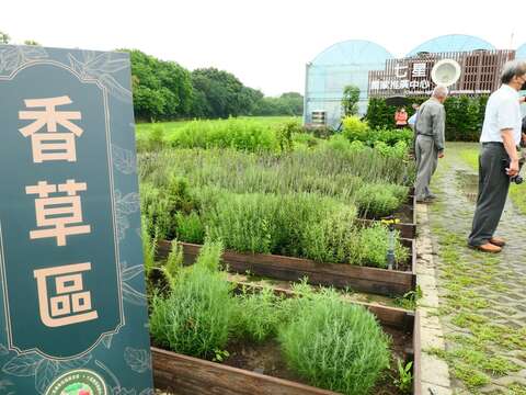 種植不同種類香草植物的香草區(圖片來源：臺北市政府產業發展局)
