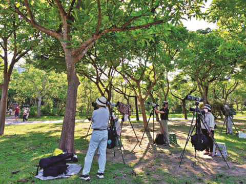 Many birdwatchers gather in Daan Park, hoping to spot a rare find and capture photos of our feathered friends. (Photo/Yengping)