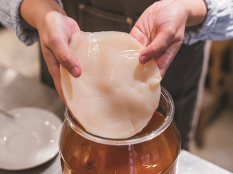 The SCOBY is indispensable to the production of kombucha and a symbiotic product of yeast, lactic acid bacteria, and acetic acid bacteria.