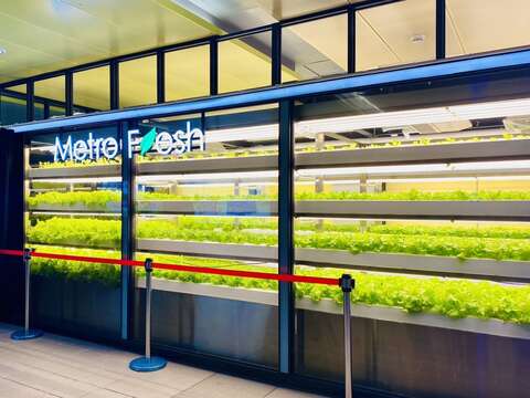 Metro Fresh! Smart Greenhouse Established at MRT Nanjing Fuxing Station