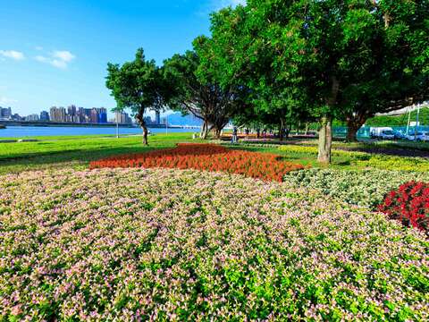 Biển hoa đợt đầu ra mắt tại Công viên ven sông Diên Bình