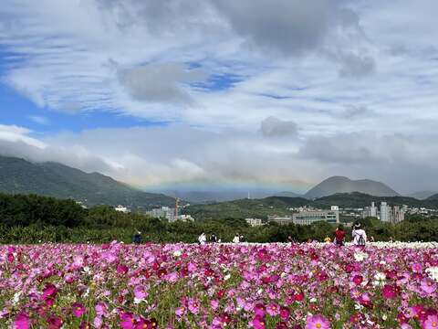 有沒有看到遠山處的彩虹(圖片來源：臺北市政府工務局)