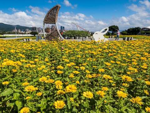 다자허빈공원 금빛 화하이(꽃축제) 성대한 개막