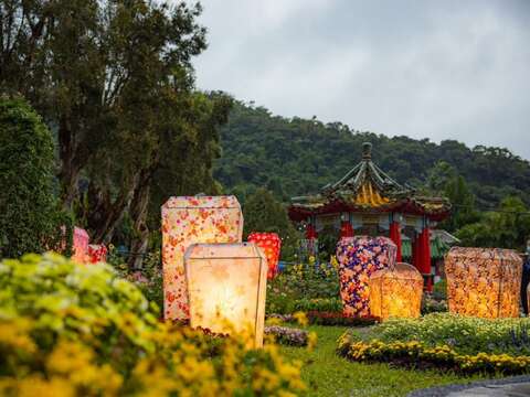Shilin Residence Chrysanthemum Show Celebrates 20th Anniversary