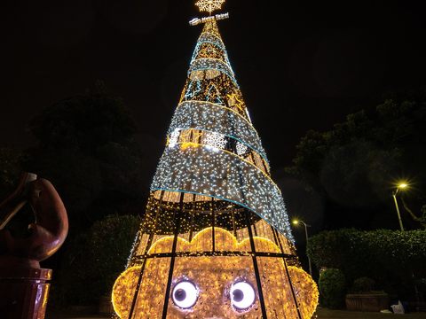 大安森林公園的耶誕樹主燈及其餘六大燈區將於111年12月3日至112年1月2日亮燈。(圖片來源：臺北市政府觀光傳播局)