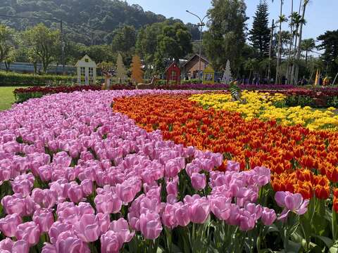 2023 Exposición de tulipanes de la antigua residencia oficial de CKS y Madam Chiang en Shilin