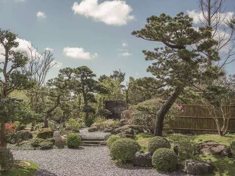 由陳元慶設計的庭園美學計畫「裏山」，讓日本松樹與台北淺山植物共存。（攝影／Daniel）