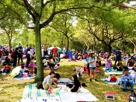 TPEDOIT to Organize Floral Picnic at Daan Forest Park Starting March 18