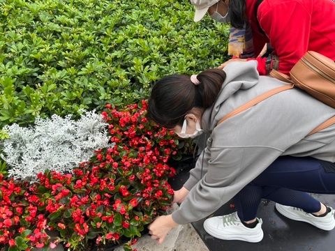 里民領取美麗花卉(圖片來源：臺北市政府觀光傳播局)