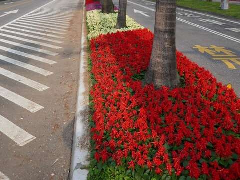 亮麗的花毯增添道路的色彩(圖片來源：臺北市政府工務局公園路燈工程管理處)