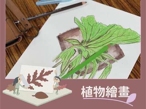 有趣的「植物繪畫」速寫課程將邀請新銳藝術家李玟蓉老師教學。(圖片來源：臺北市政府工務局公園路燈工程管理處)