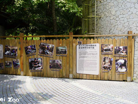 「熊站出來」臺灣黑熊保育主題牆(圖片來源：臺北市立動物園)