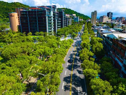 綠意提供了綠蔭-中山北路(圖片來源：臺北市政府工務局公園路燈工程管理處)
