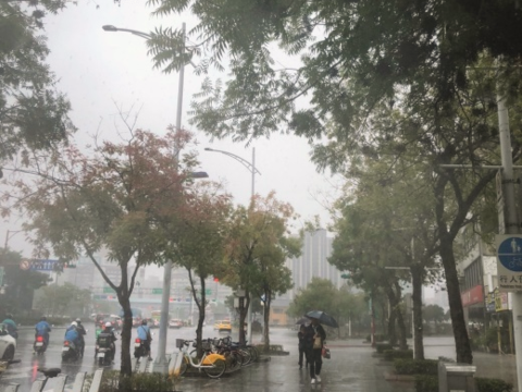 雨中漫步或騎乘感受黃連木林蔭大道(圖片來源：臺北市政府工務局公園路燈工程管理處)