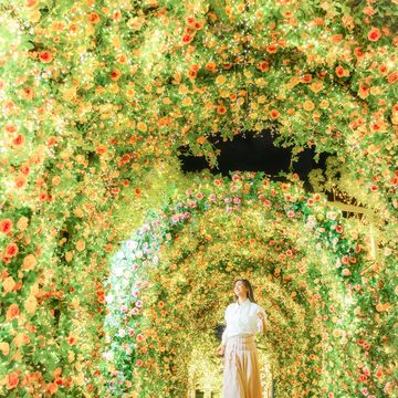 台北101薔薇花廊（圖片來源：台北101提供）。