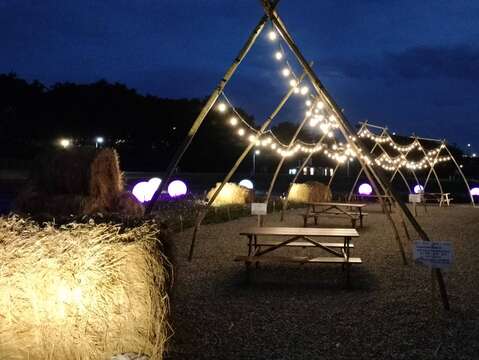 Tents adorned with strings of lights bring a romantic touch to the sea of flowers