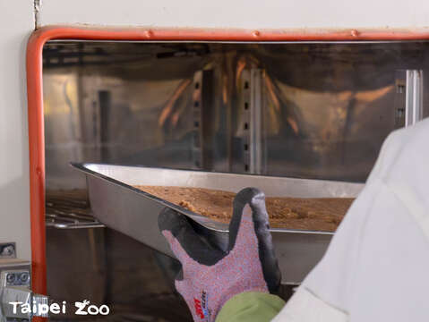 相思豆猴米糕用電鍋蒸熟後壓製成型，還要進烤箱讓風味更好(圖片來源：臺北市立動物園)