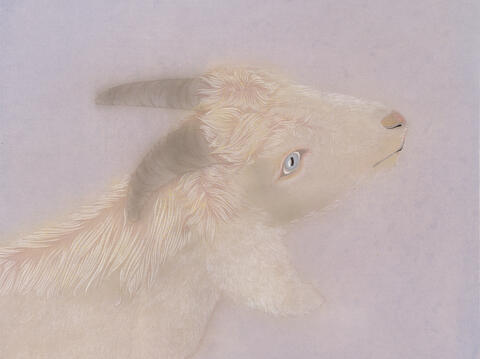 杜思秋〈十二生肖–羊〉35 x 35 cm  2023  設色、紙本