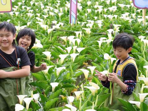 孩子們在花田喜樂採花(圖片來源：臺北市政府產業發展局)