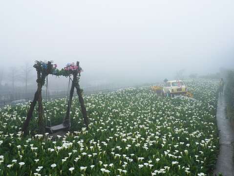 霧中仙氣的名陽匍(圖片來源：臺北市政府產業發展局)