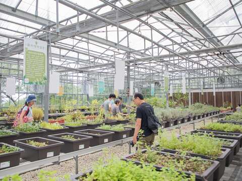 植物尋寶(圖片來源：臺北市政府工務局大地工程處)