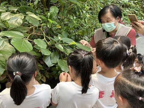 「綠典對對碰」由老師介紹植物特徵讓學生認識葉片的型態(圖片來源：臺北市政府工務局公園路燈工程管理處)